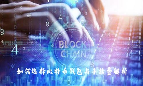 如何选择比特币钱包与手续费解析