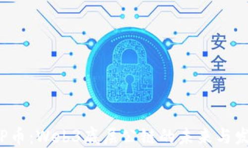 
ICP币：Web3底层公链的未来与发展