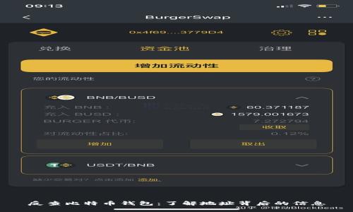 反查比特币钱包：了解地址背后的信息