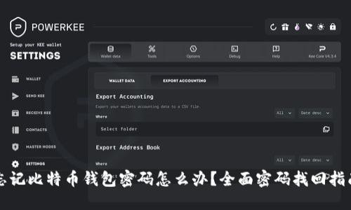 忘记比特币钱包密码怎么办？全面密码找回指南